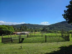 Sítio com 23.240m² no bairro Lomba Grande 