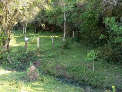 Área de terras com 5.673,34m² no bairro Lomba Grande 