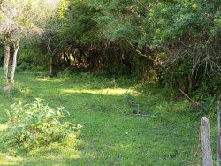 Área de terras com 5.673,34m² no bairro Lomba Grande 