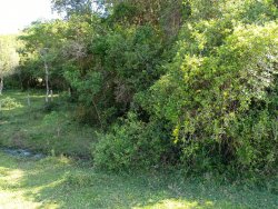 Área de terras com 5.673,34m² no bairro Lomba Grande 
