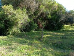 Área de terras com 5.673,34m² no bairro Lomba Grande 