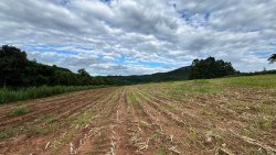 Área de terra com 2,00 hectares no bairro Lomba Grande  