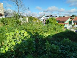 Terreno com 300m² no bairro Petrópolis 