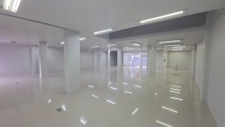 Sala comercial com 326m² no bairro Hamburgo Velho 