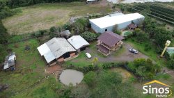 Sítio de 4 hectares com casa de 03 dormitórios no bairro Morro do Macaco Branco 