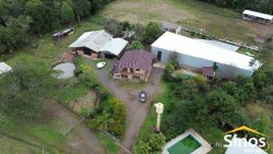 Sítio de 4 hectares com casa de 03 dormitórios no bairro Morro do Macaco Branco 