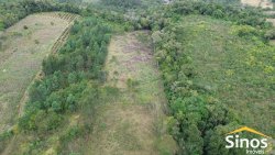 Sítio de 4 hectares com casa de 03 dormitórios no bairro Morro do Macaco Branco 