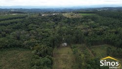 Sítio de 4 hectares com casa de 03 dormitórios no bairro Morro do Macaco Branco 
