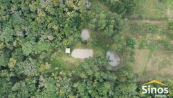 Sítio de 4 hectares com casa de 03 dormitórios no bairro Morro do Macaco Branco 