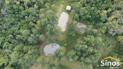 Sítio de 4 hectares com casa de 03 dormitórios no bairro Morro do Macaco Branco 
