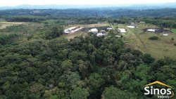 Sítio de 4 hectares com casa de 03 dormitórios no bairro Morro do Macaco Branco 