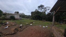 Sítio de 4 hectares com casa de 03 dormitórios no bairro Morro do Macaco Branco 