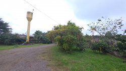 Sítio de 4 hectares com casa de 03 dormitórios no bairro Morro do Macaco Branco 