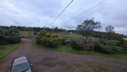 Sítio de 4 hectares com casa de 03 dormitórios no bairro Morro do Macaco Branco 