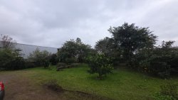 Sítio de 4 hectares com casa de 03 dormitórios no bairro Morro do Macaco Branco 
