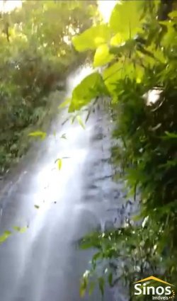 Chácara com 1,75 hectares no bairro Picada São Jacob 