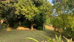 Chácara com 1,75 hectares no bairro Picada São Jacob 