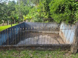 Chácara com 1,75 hectares no bairro Picada São Jacob 