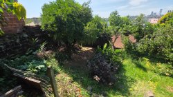 Terreno com chalé no bairro Guarani  