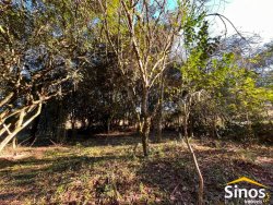 Sítio de 2 hectares na Lomba Grande 