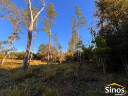 Sítio de 2 hectares na Lomba Grande 