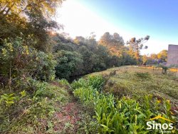 Sítio de 2 hectares na Lomba Grande 