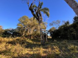 Sítio de 2 hectares na Lomba Grande 