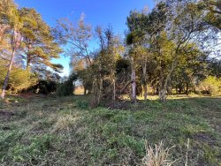 Sítio de 2 hectares na Lomba Grande 
