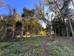 Sítio de 2 hectares na Lomba Grande 