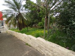 Terreno com 675m² no bairro Ouro Branco 