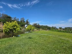 Sítio com 7.000m² no bairro Lomba Grande 