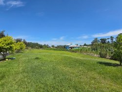 Sítio com 7.000m² no bairro Lomba Grande 