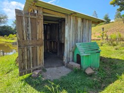 Sítio com 7.000m² no bairro Lomba Grande 