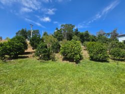 Sítio com 7.000m² no bairro Lomba Grande 