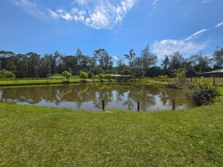 Sítio com 7.000m² no bairro Lomba Grande 