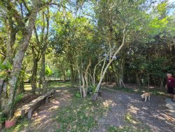 Sítio com 7.000m² no bairro Lomba Grande 