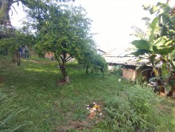 Terreno com construção no bairro Santo Afonso 