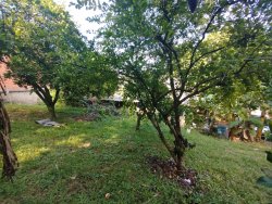 Terreno com construção no bairro Santo Afonso 