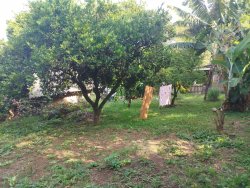 Terreno com construção no bairro Santo Afonso 