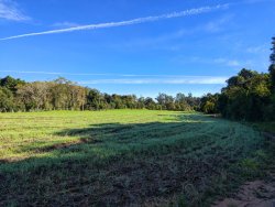 Chácara com 2,8 hectares na área central da Lomba Grande 