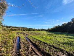 Chácara com 2,8 hectares na área central da Lomba Grande 
