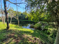 Chácara com 2,8 hectares na área central da Lomba Grande 