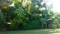 Casa com 04 dormitórios no Bairro Rondônia 