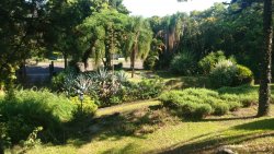 Casa com 04 dormitórios no Bairro Rondônia 