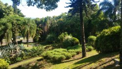Casa com 04 dormitórios no Bairro Rondônia 