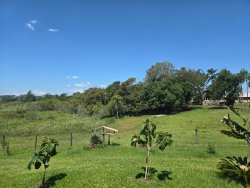 Sítio com 25.019m² no bairro Lomba Grande  
