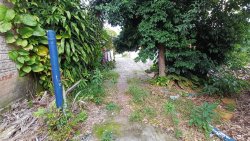 Casa com 05 dormitórios no bairro Vila Rosa 