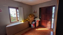 Casa com 05 dormitórios no bairro Vila Rosa 