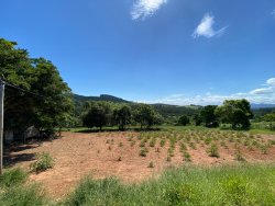 Sítio com 1,5 hectares em Santa Maria 