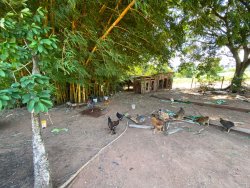 Sítio com 1,5 hectares em Santa Maria 